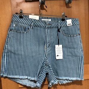 NWT Judy Blue pin stripe high waist shorts 1XL